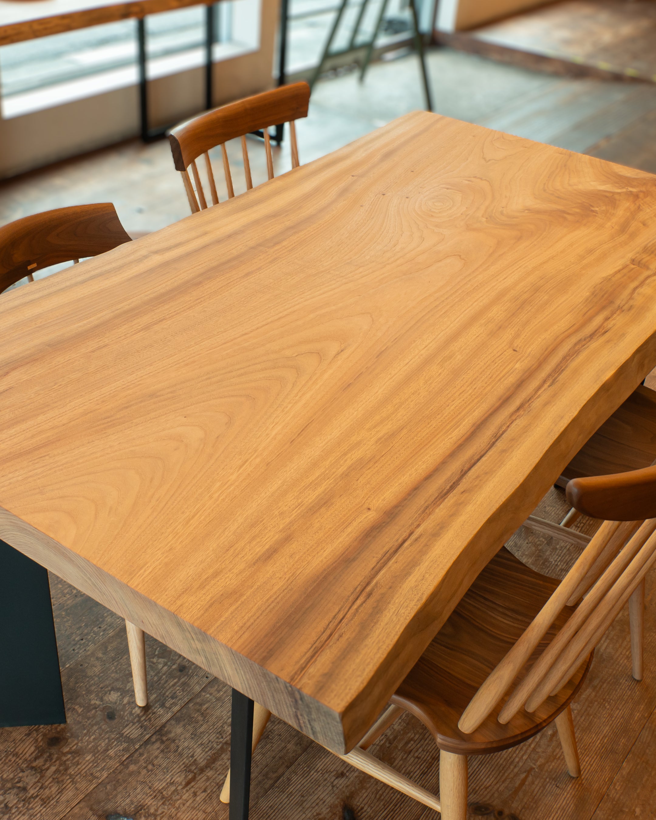 樹種【クス】の特徴は?