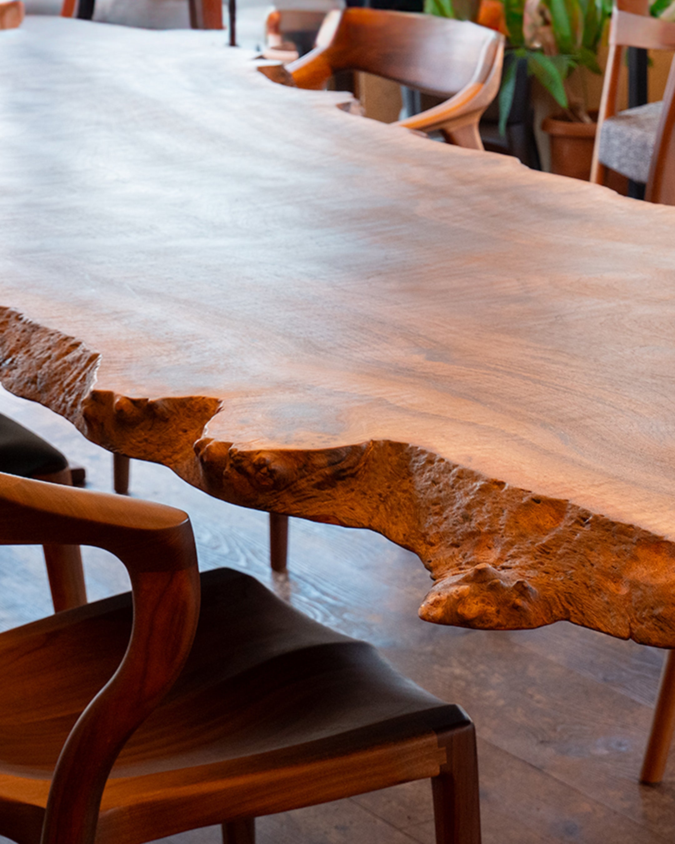 樹種【クラロウォールナット】の特徴は?