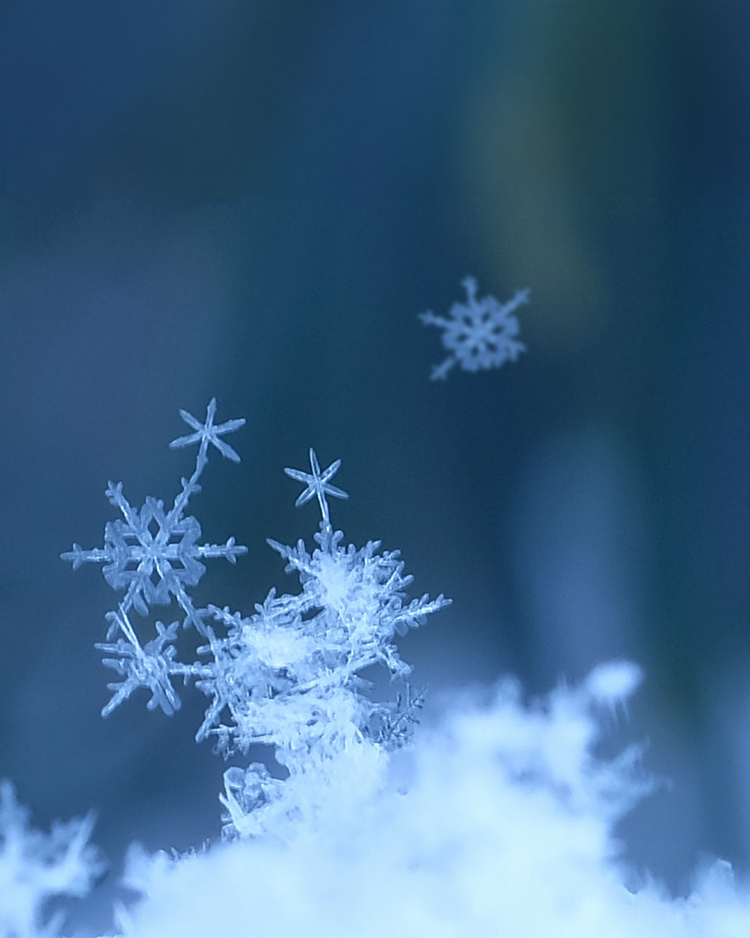 NATUREDESIGN ®< ネイチャーデザイン >とは