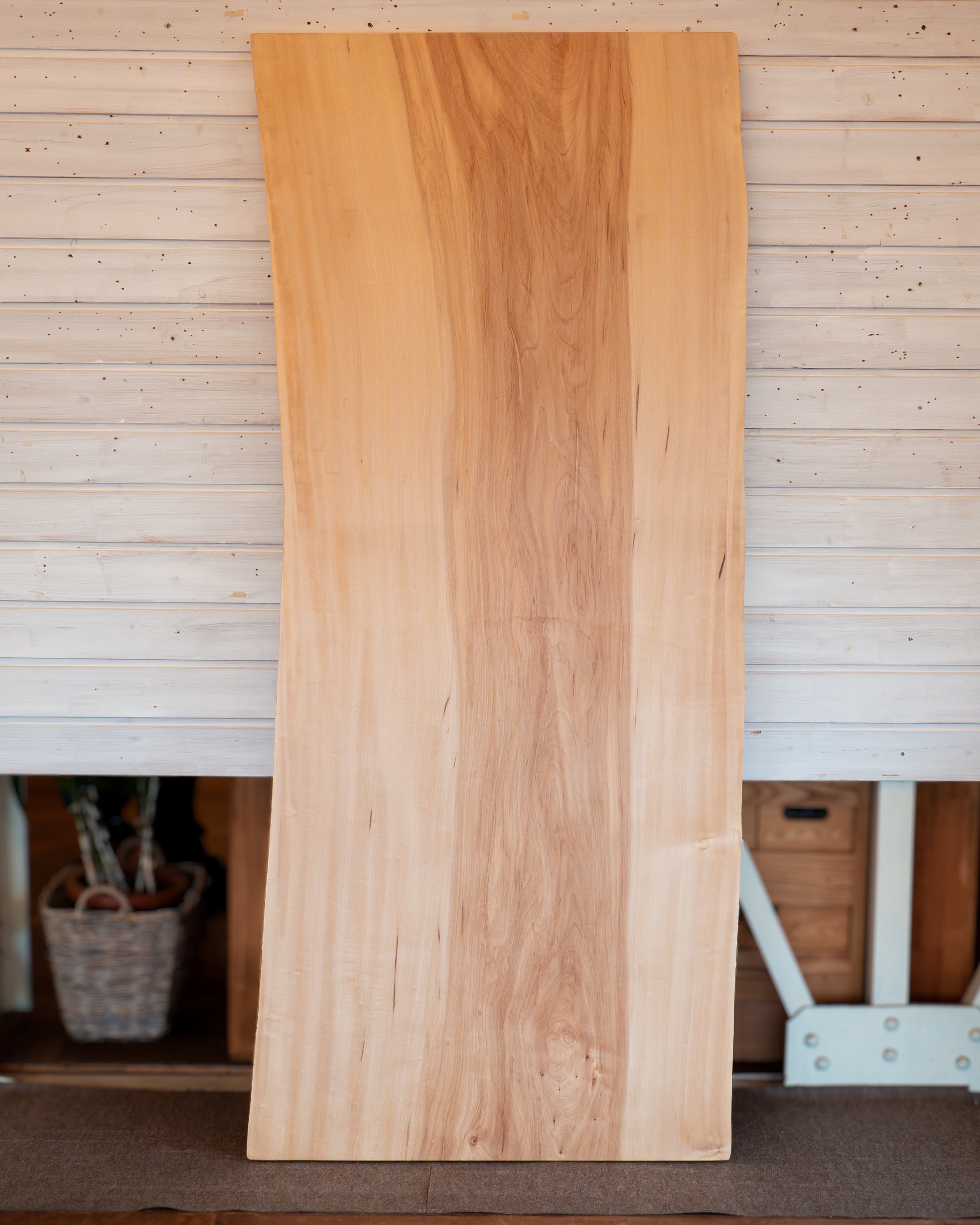 一枚板 |トチ No.0005