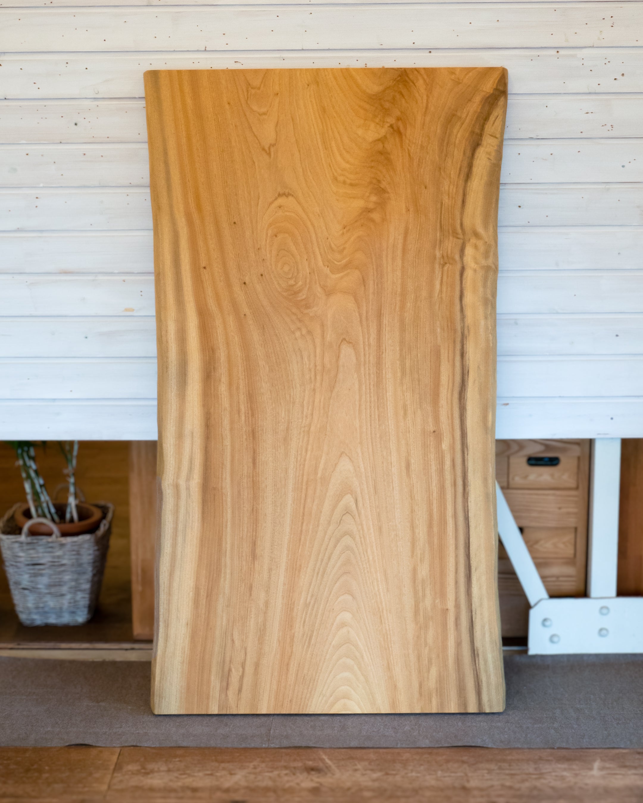 一枚板 |クス No.0007