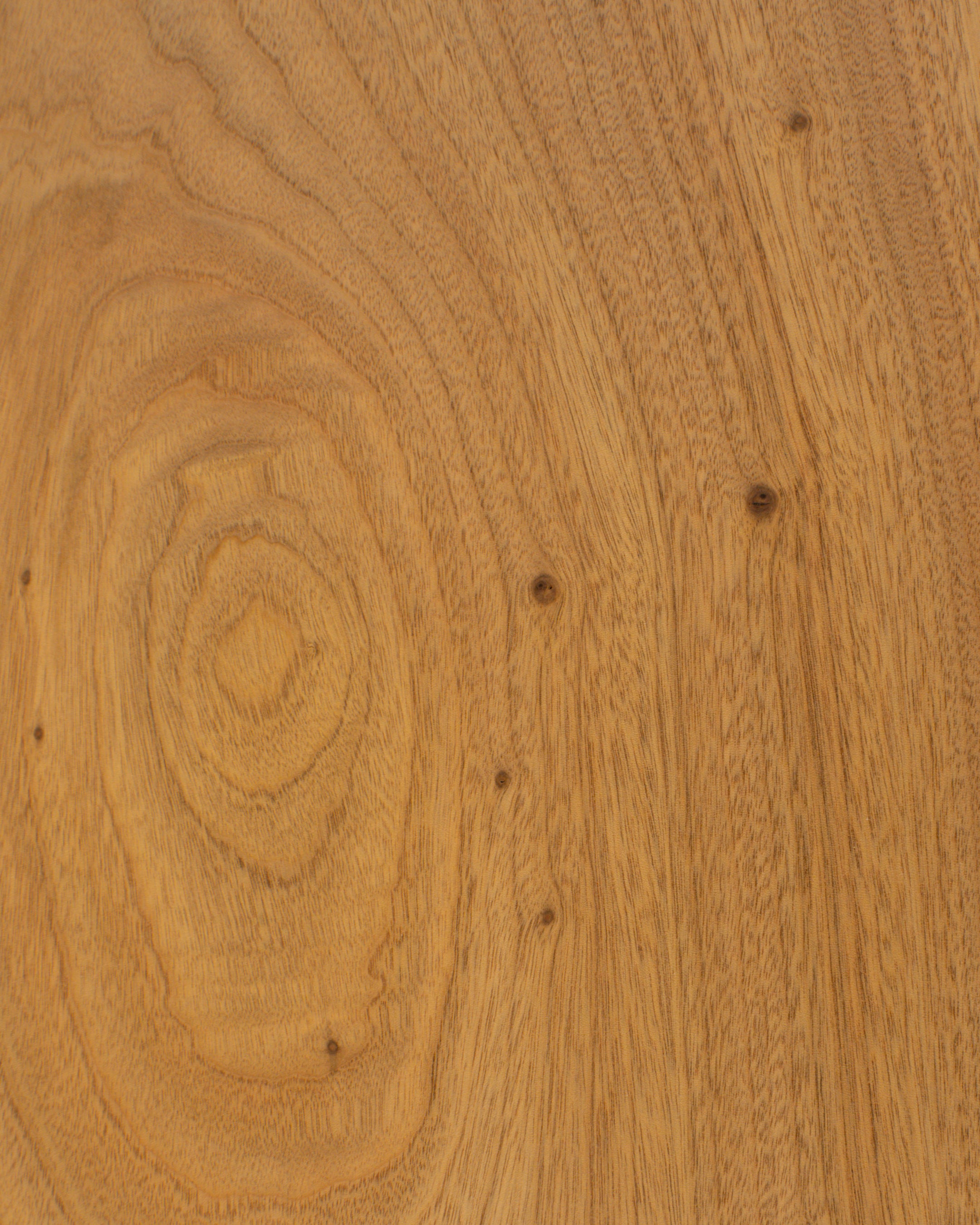 一枚板 |クス No.0007