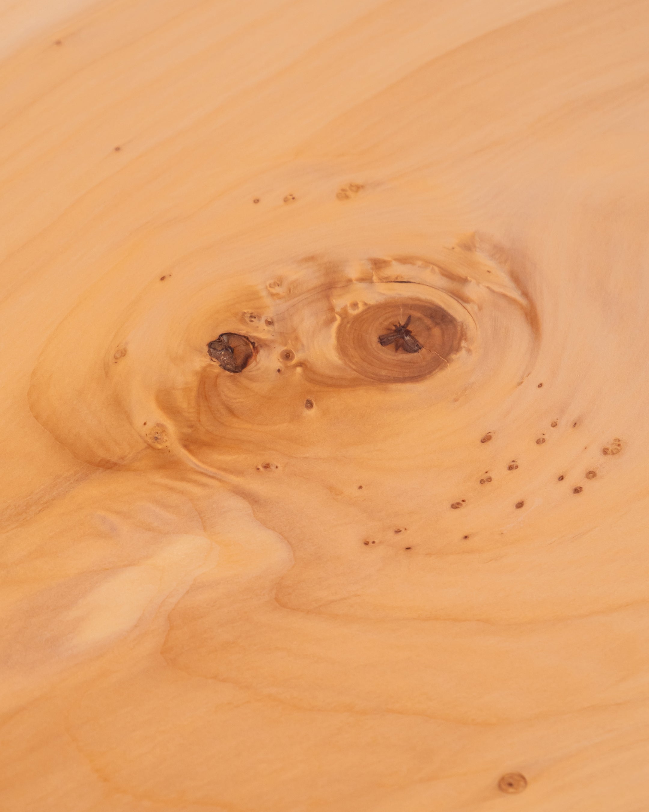 一枚板 |イチョウ No.0009