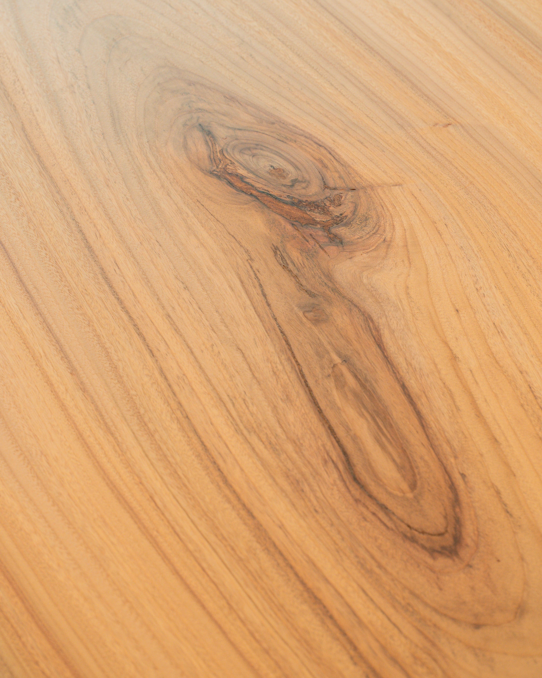 一枚板 |クス No.0011