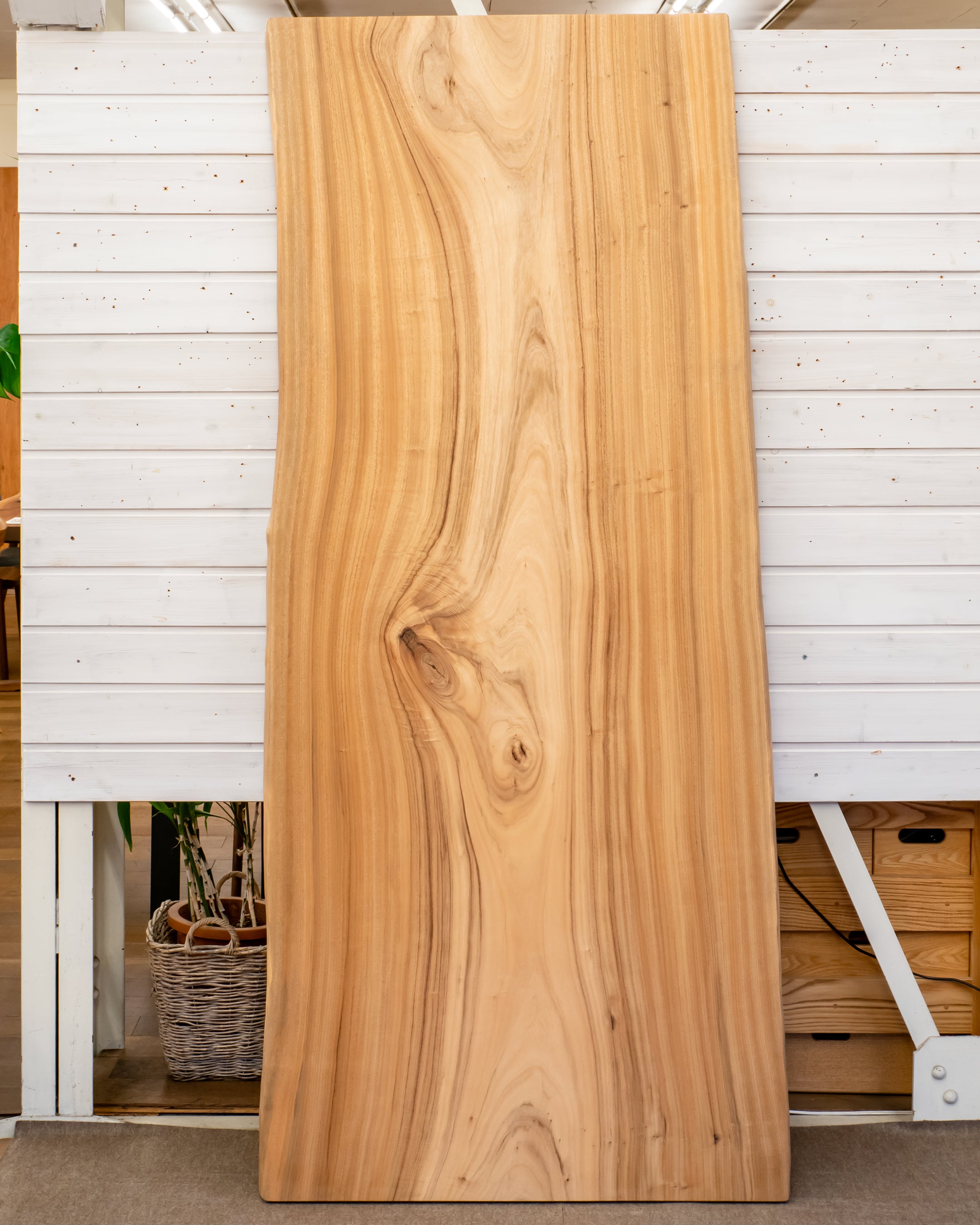 一枚板 |クス No.0013