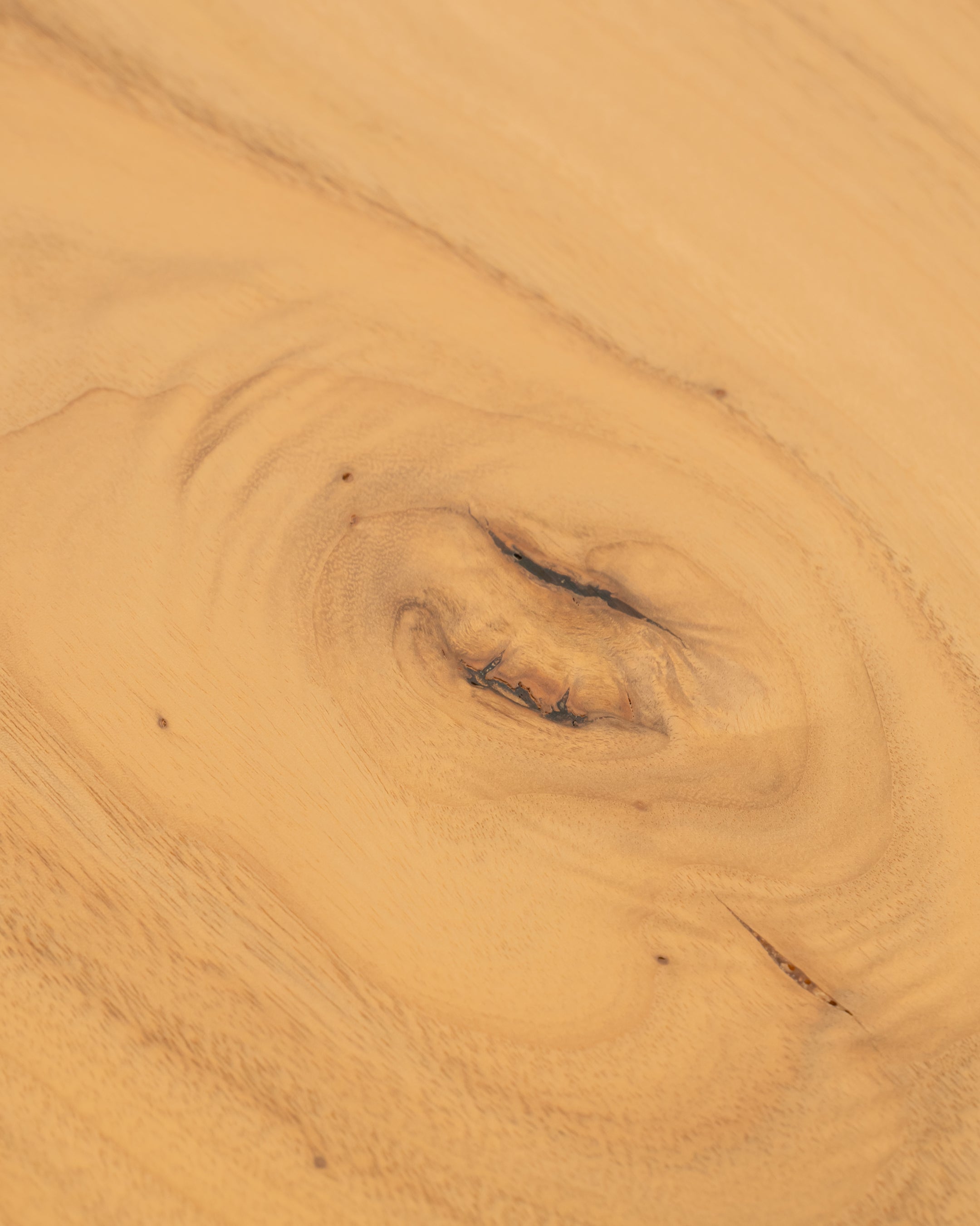 一枚板 |クス No.0013