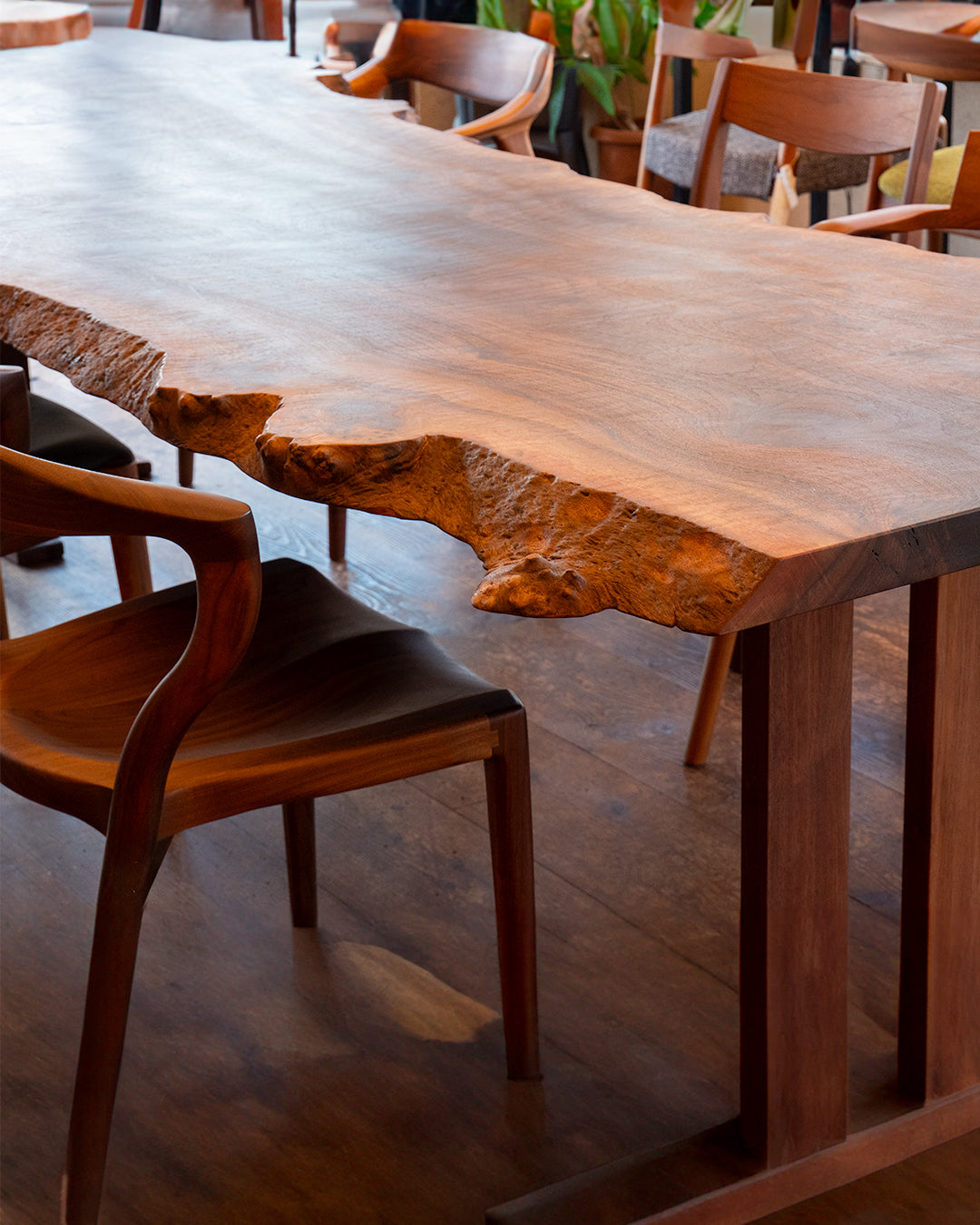 クラロウォールナット 一枚板 |幅298cm |No.0019