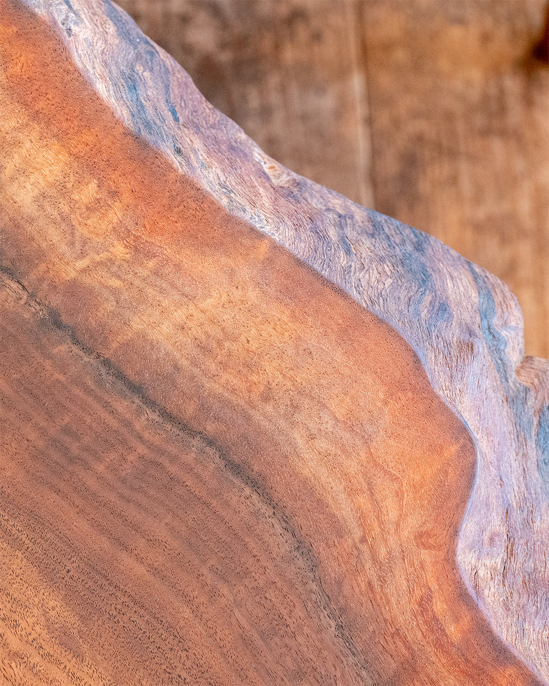 クラロウォールナット 一枚板 |幅298cm |No.0019