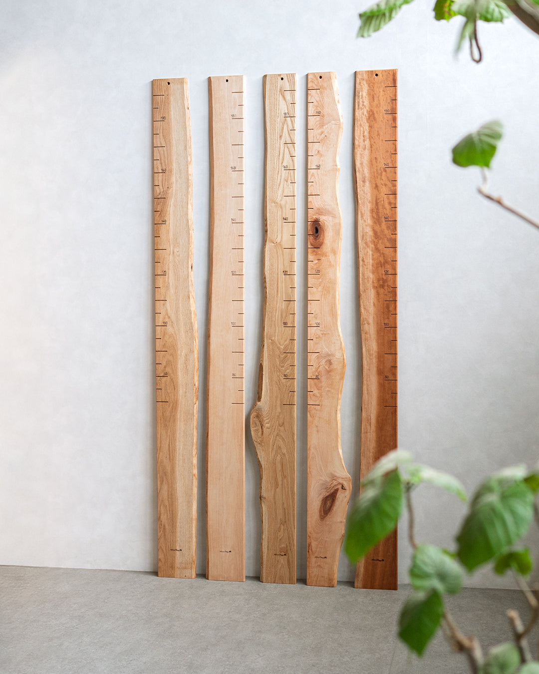 スタッフがセレクト| 森の身長計