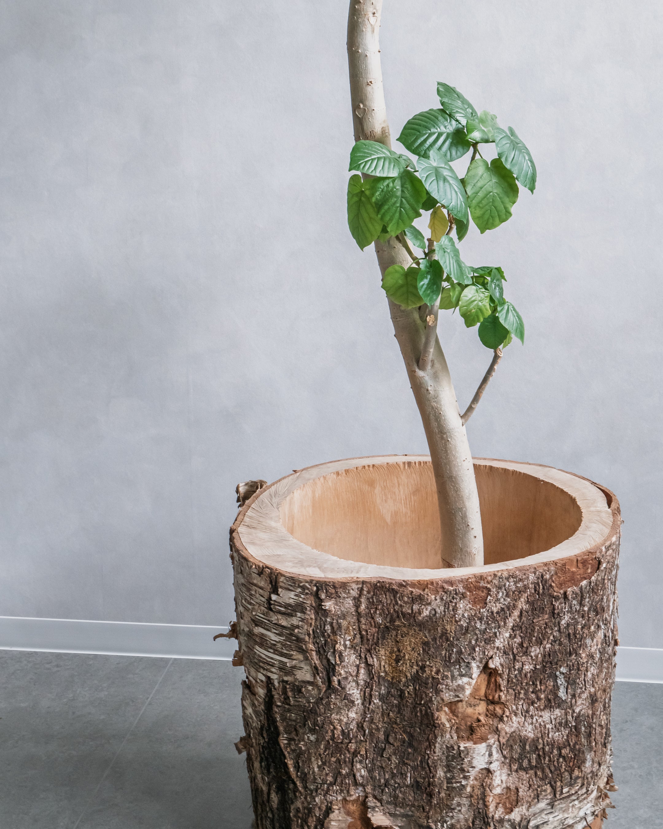 丸太の鉢カバー ND-C-000003