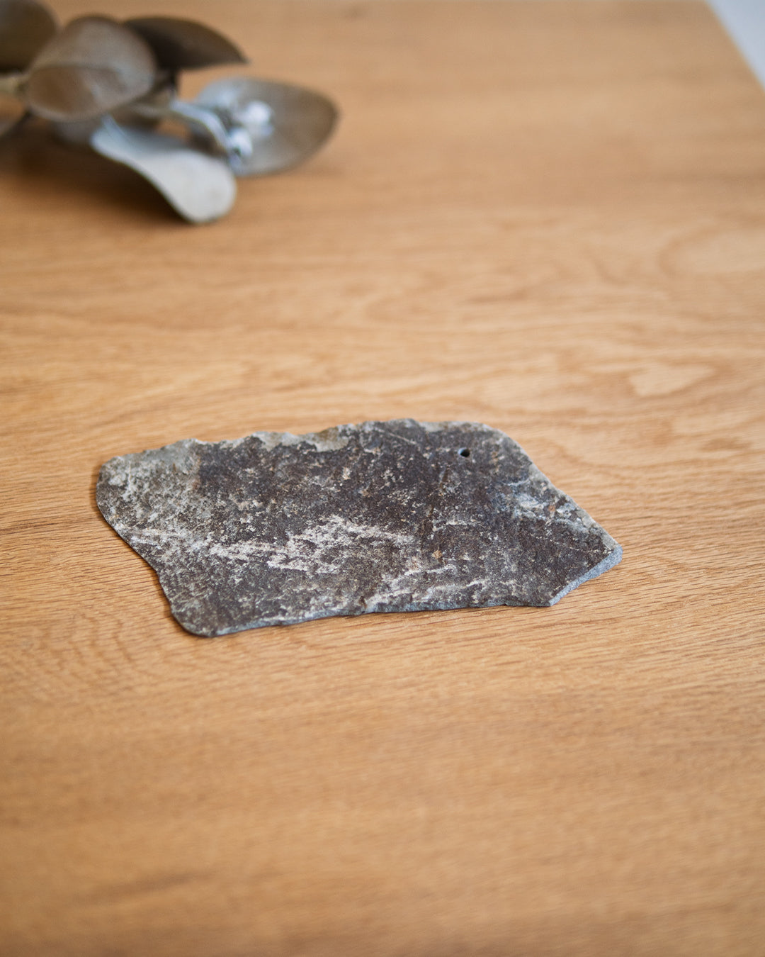 #個体をお選びください_IH2-001