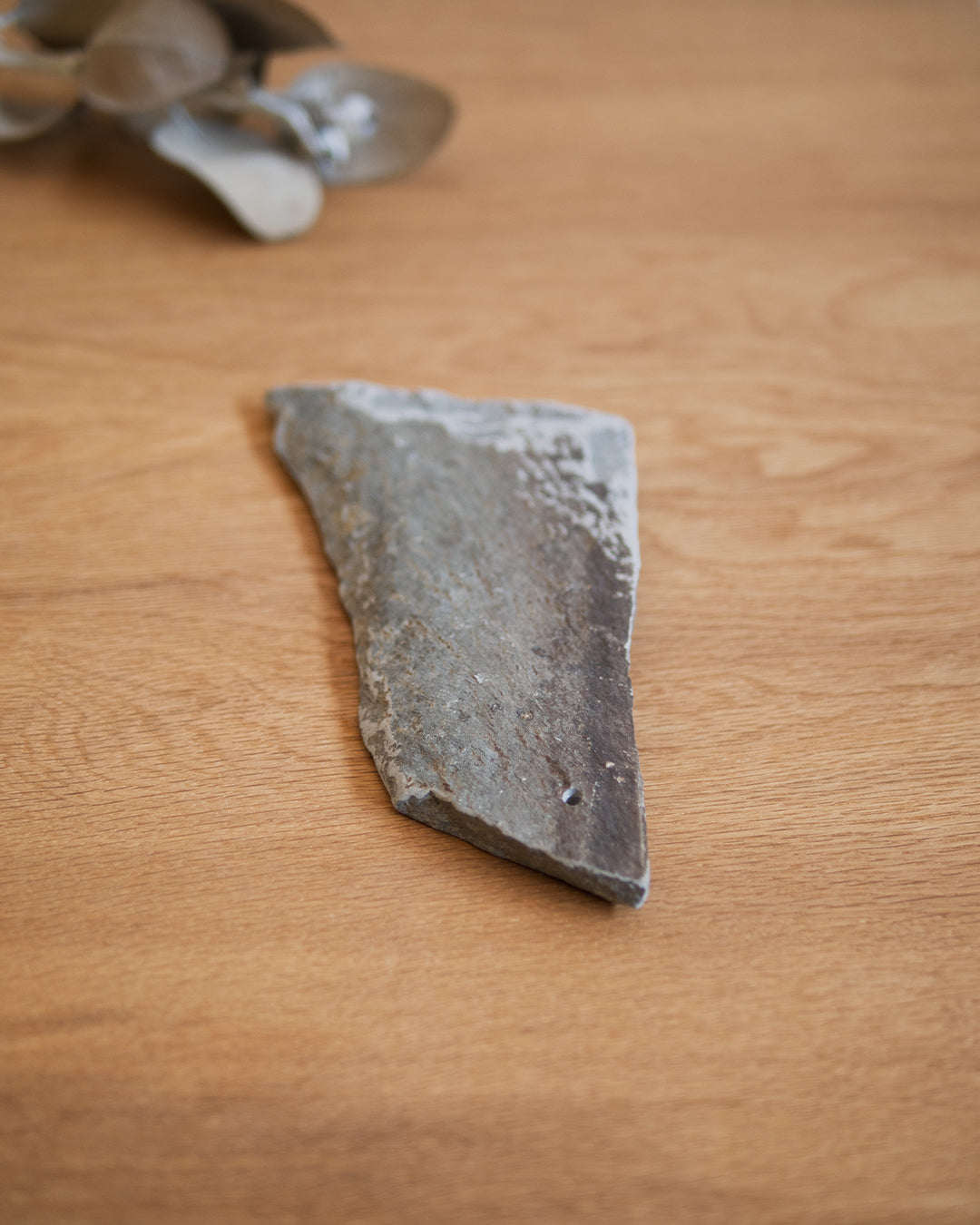 #個体をお選びください_IH2-003