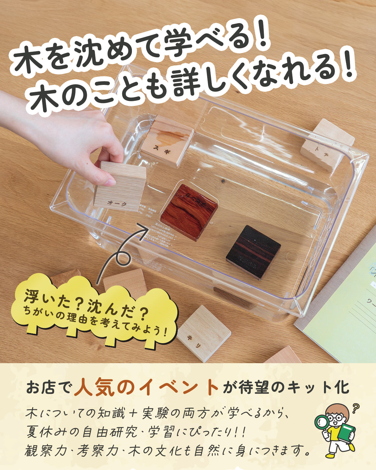 「木」になる自由研究キット | 銘木ブロック9種・書込式ワークブック入