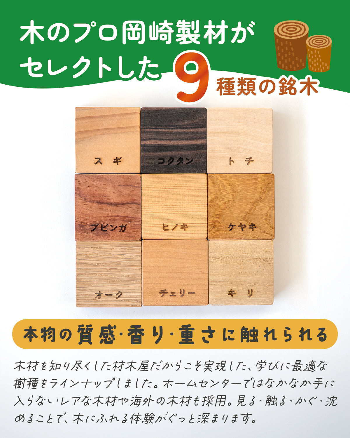 「木」になる自由研究キット | 銘木ブロック9種・書込式ワークブック入