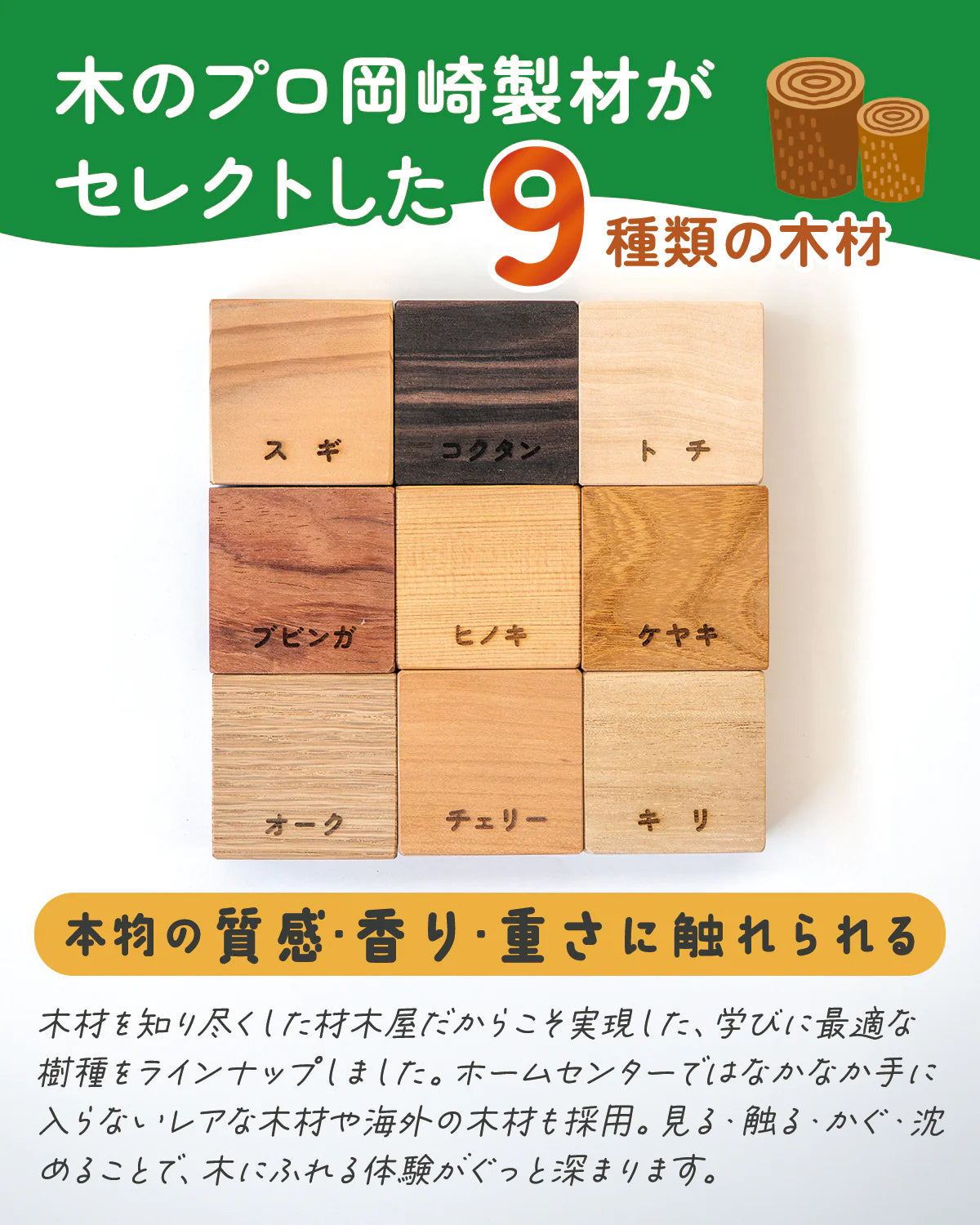 木のひみつ研究キット | 9種の無垢材ブロック・書込式ワークブック付