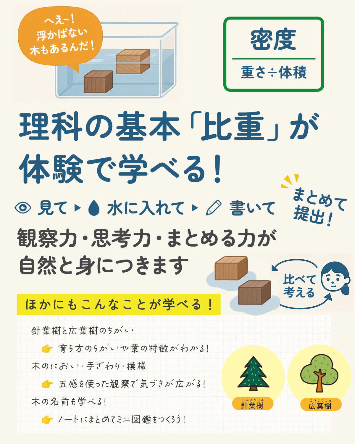 「木」になる自由研究キット | 銘木ブロック9種・書込式ワークブック入
