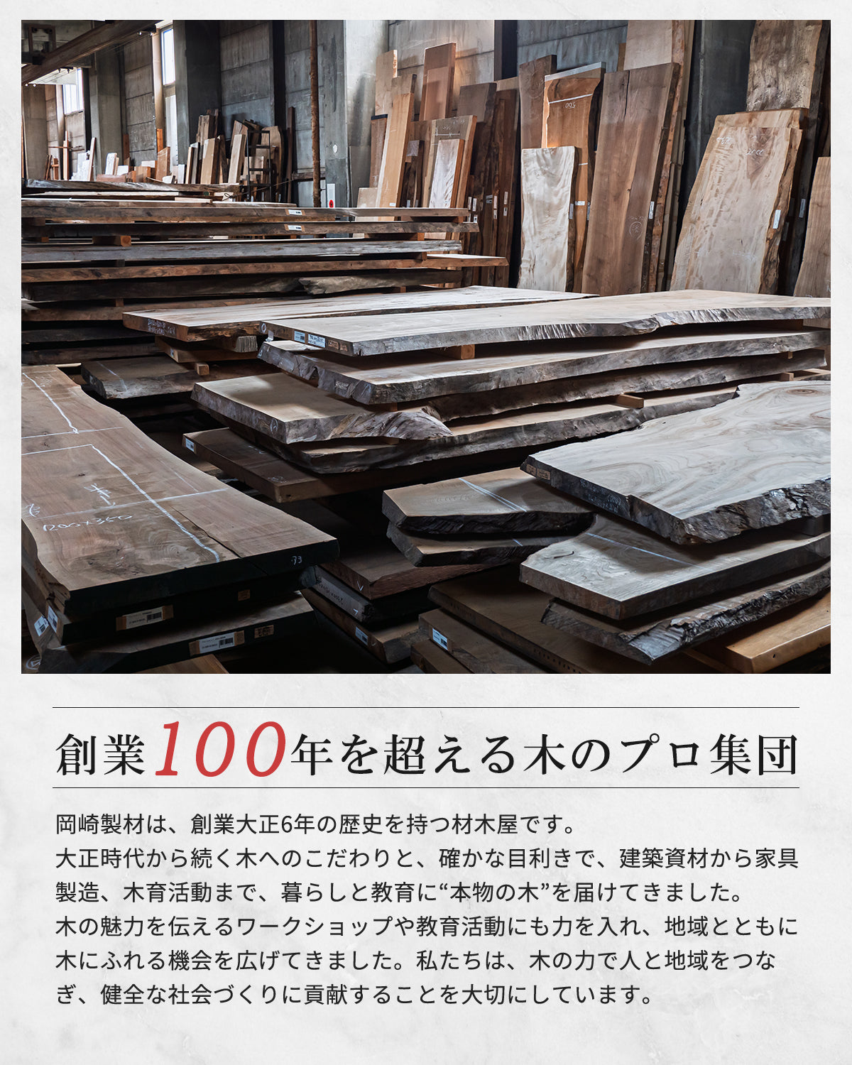 「木」になる自由研究キット | 銘木ブロック9種・書込式ワークブック入