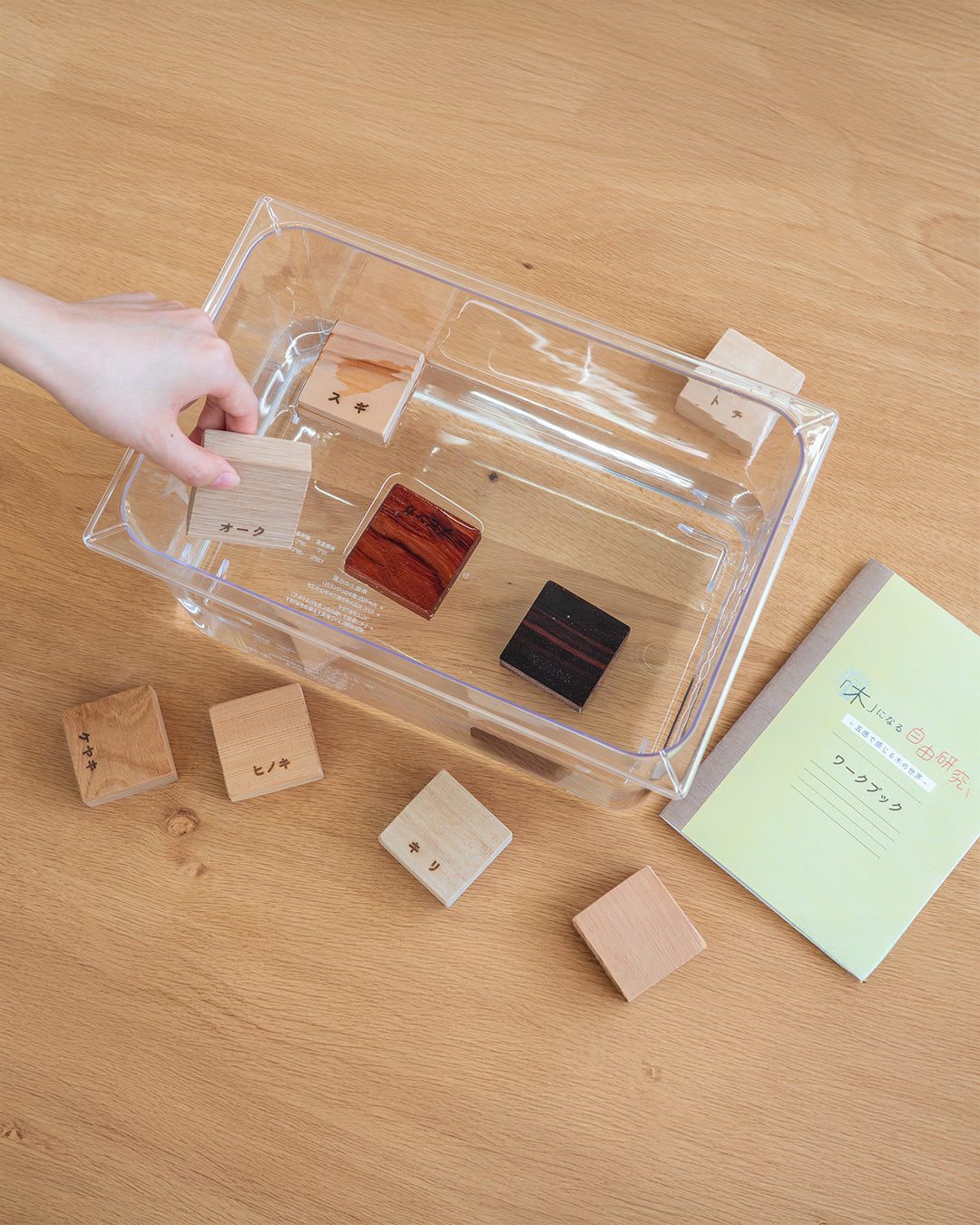 「木」になる自由研究キット | 銘木ブロック9種・書込式ワークブック入