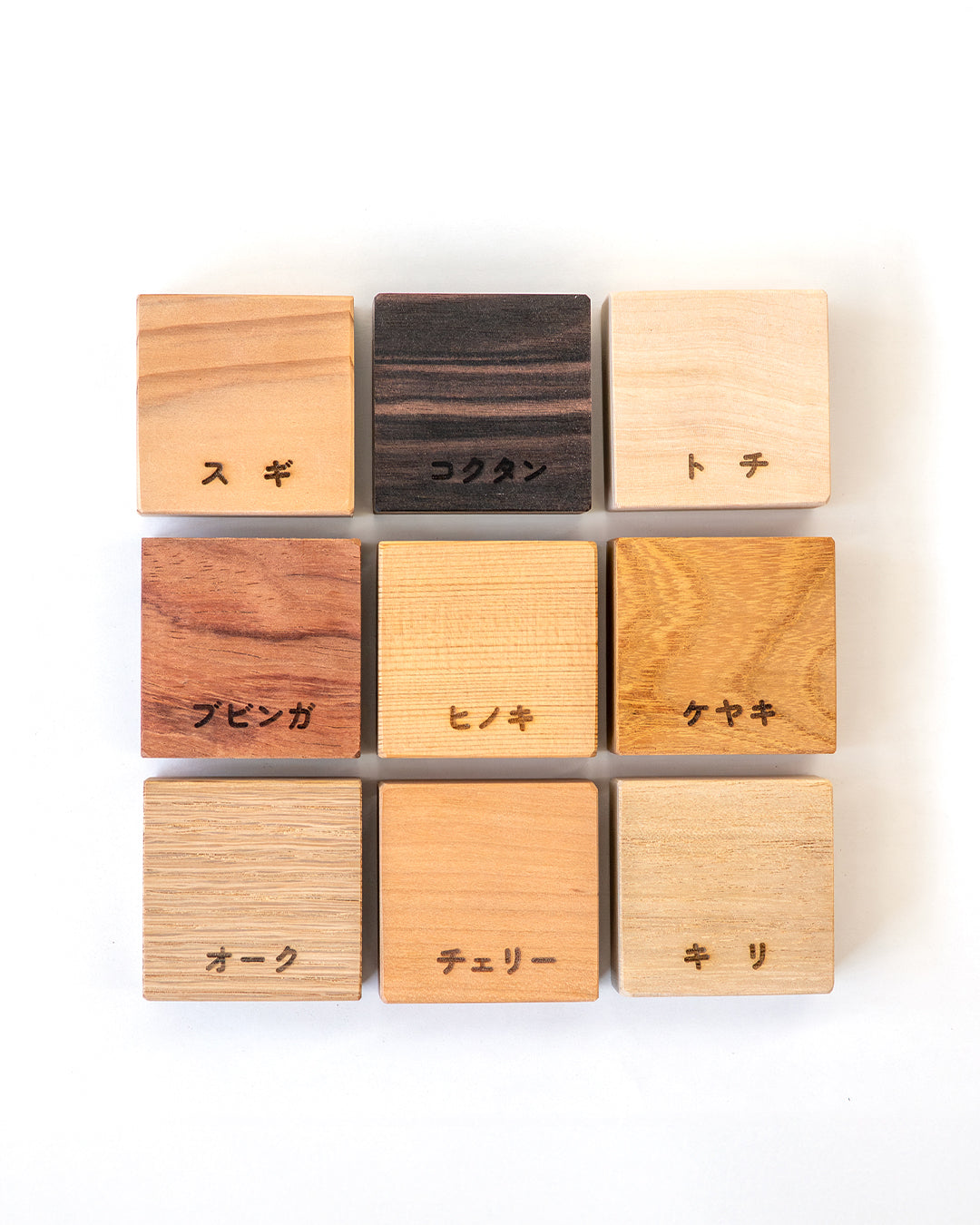 「木」になる自由研究キット | 銘木ブロック9種・書込式ワークブック入