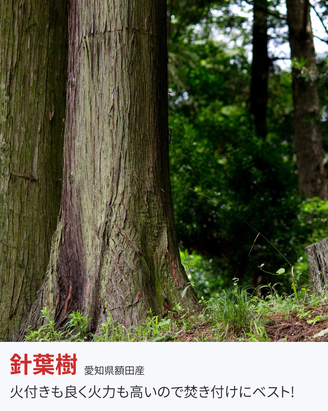 額田産 杉の薪 17cm (約30個入)