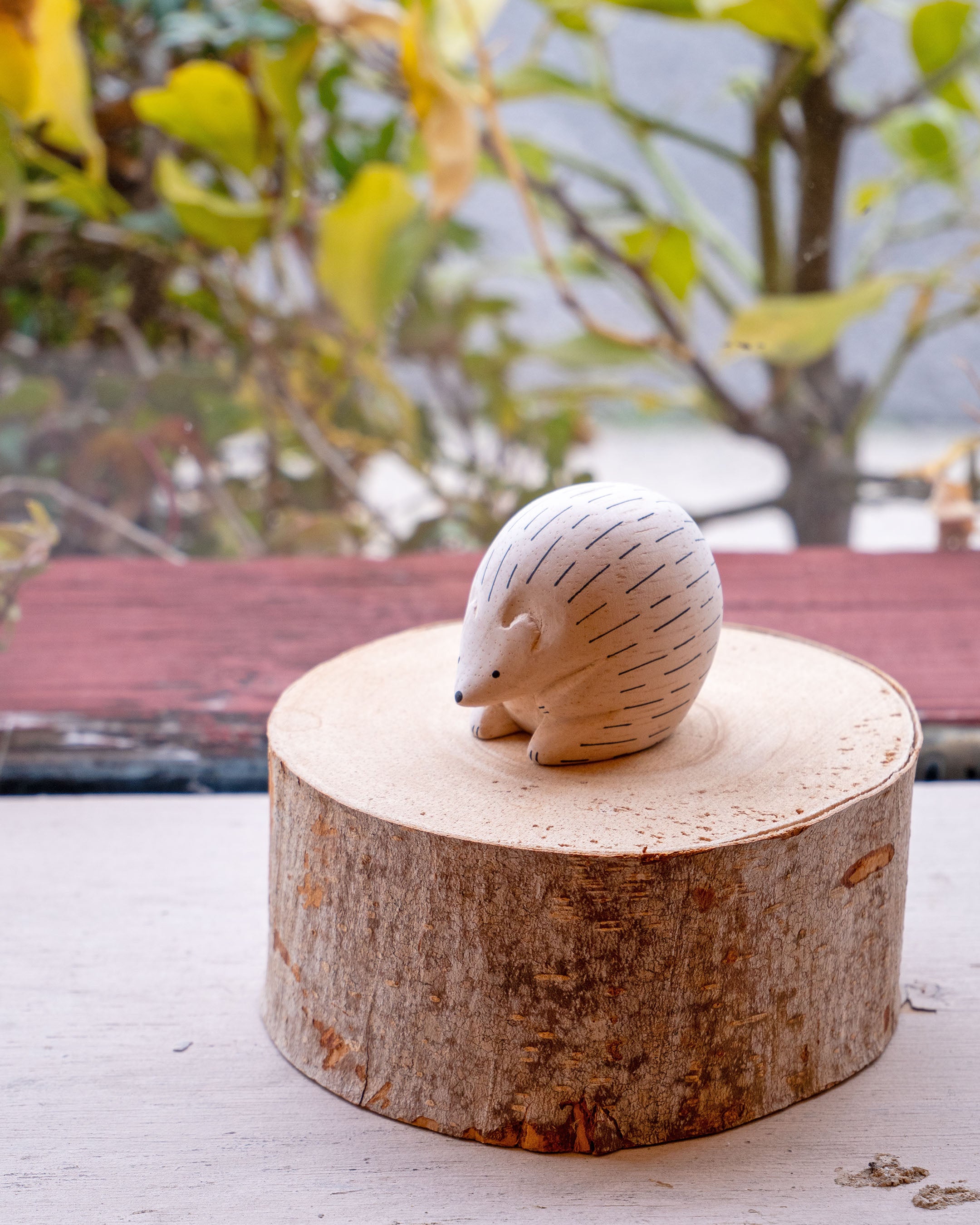 ぽれぽれ動物|ハリネズミ