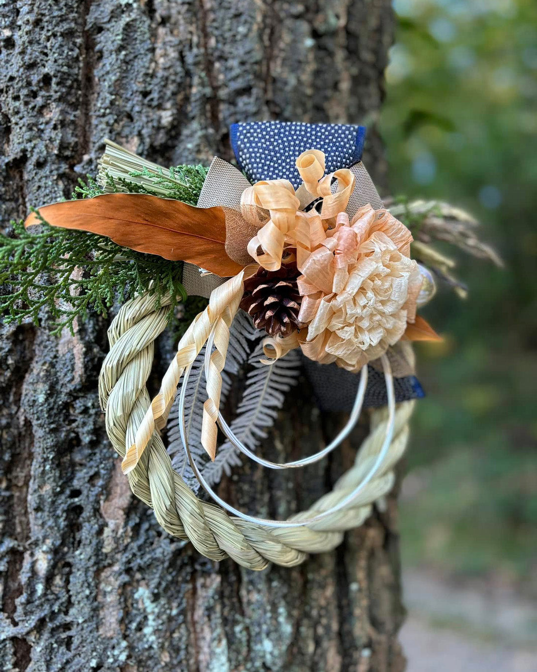 #サイズ・個体をお選びください_Large 【L-2】