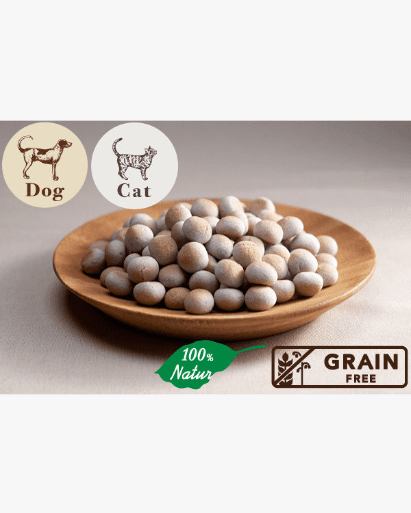 Plaïaden|果物のビスケ ブルーベリー 50g for Dog/Cat (タネンバウム)