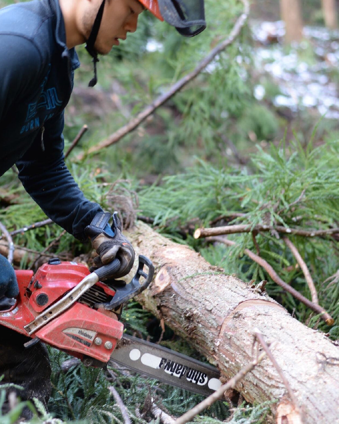 Tokyo Tree Wood 丸太の木取りつみき