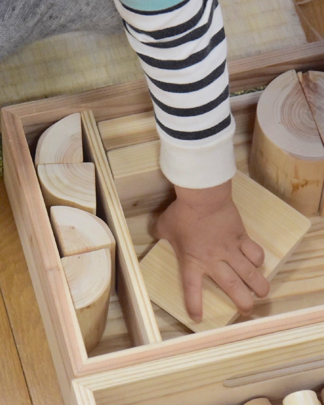 Tokyo Tree Wood 丸太の木取りつみき