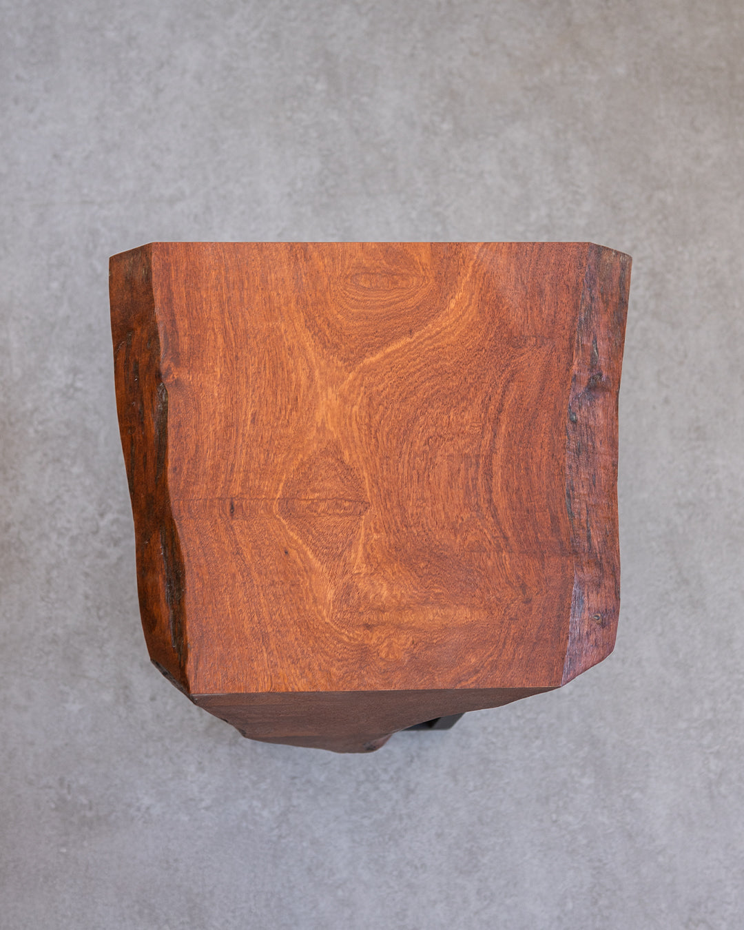 #個体をお選びください_WFST-101(カリン)