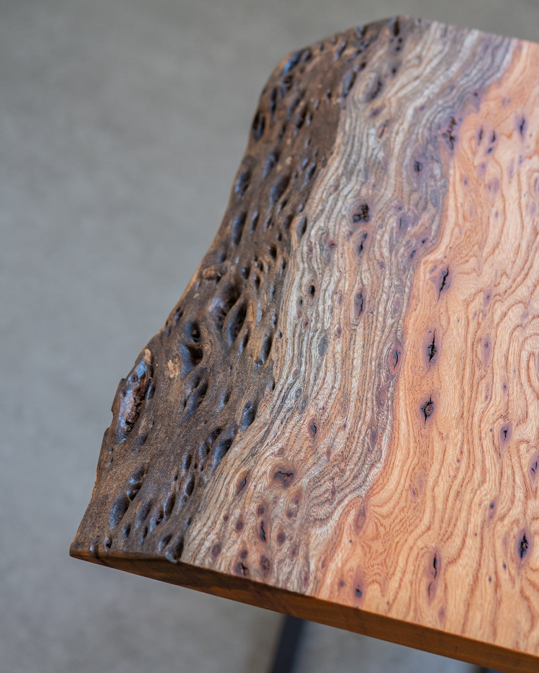 #個体をお選びください_WFST-301(ケヤキ)