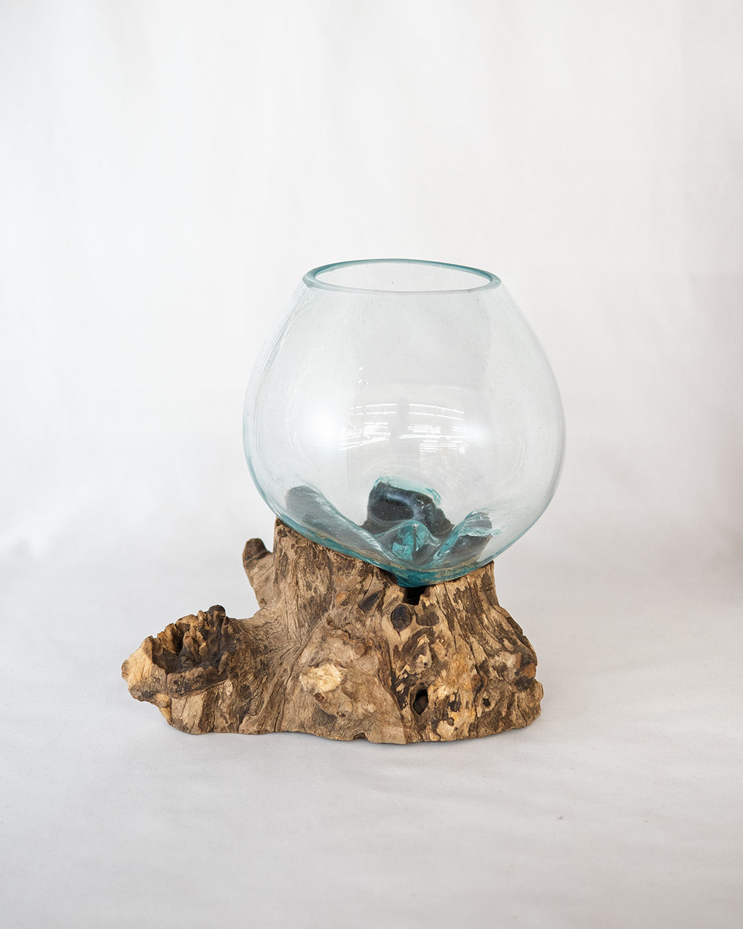 #個体をお選びください_001