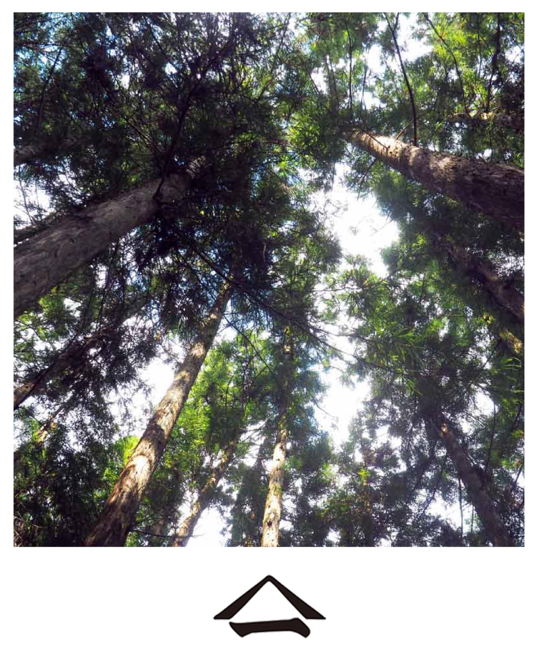 山一 | 自在のお櫃