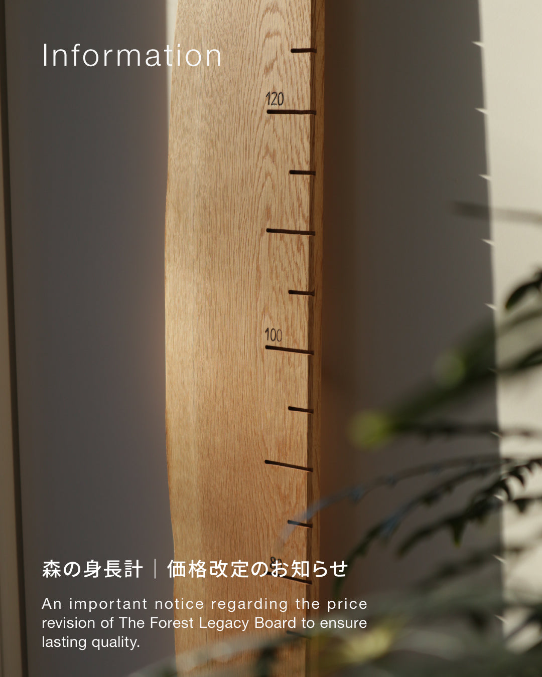 森の身長計 価格改定のお知らせ