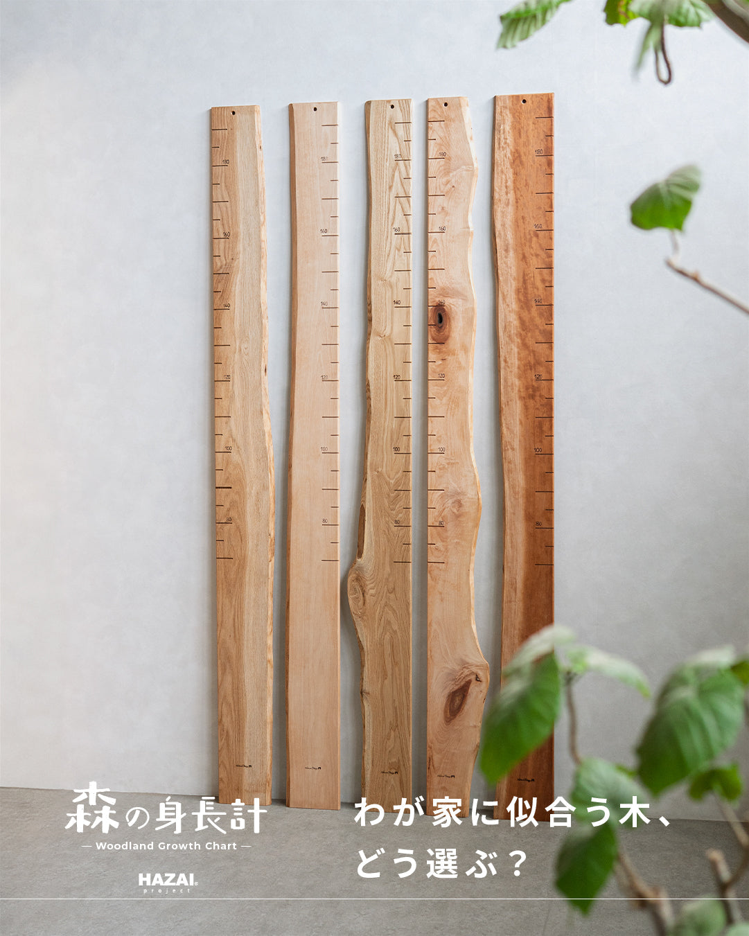 森の身長計｜わが家に似合う木って、どれだろう？