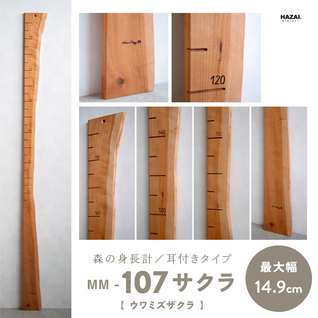 写真で木目が選べる１点モノ｜ 森の身長計