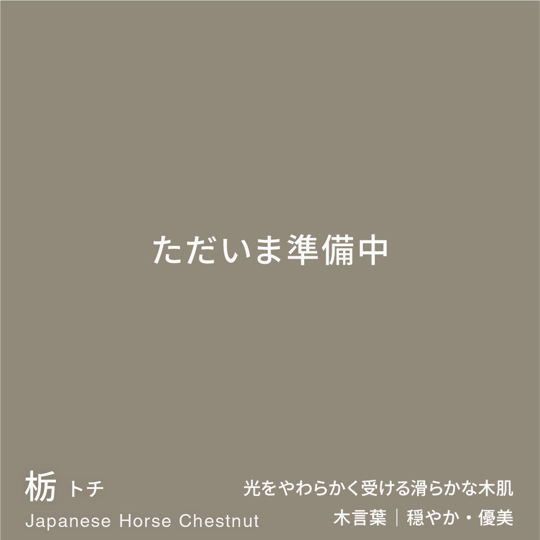 お祝いバット mini｜ 名入れギフト