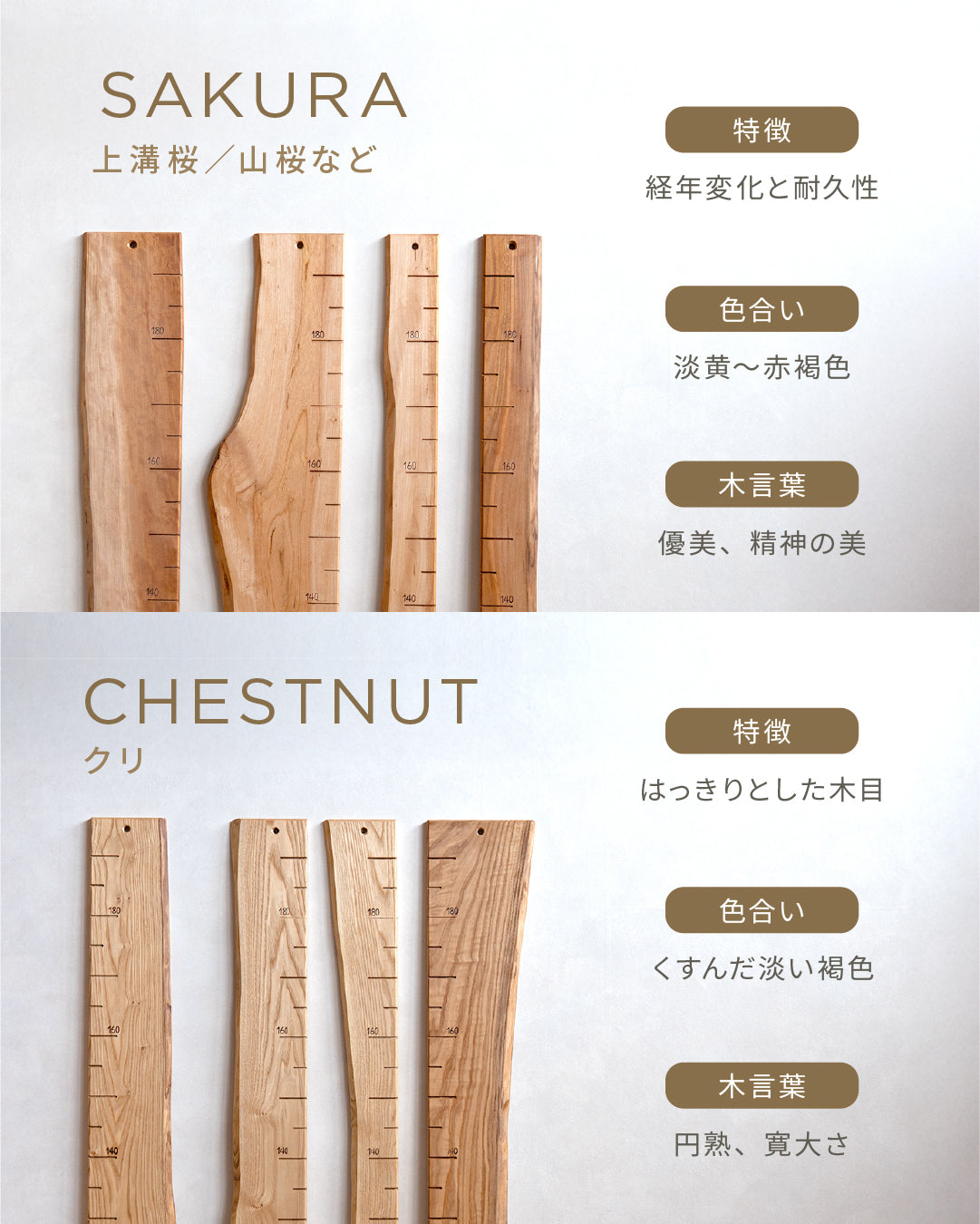 スタッフがセレクト｜ 森の身長計