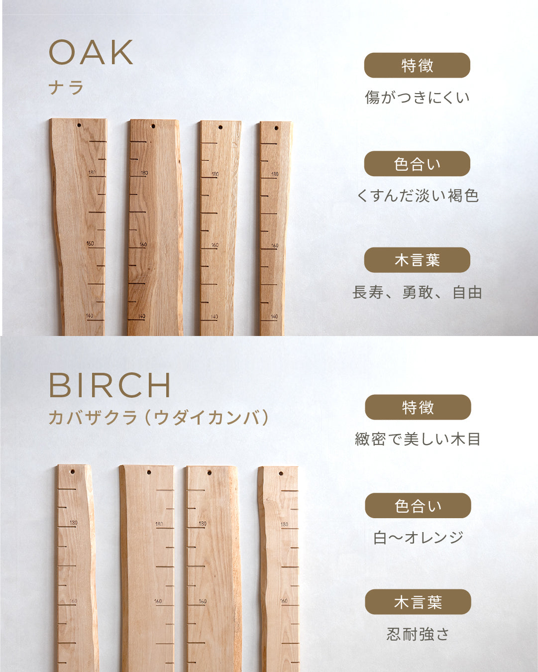 スタッフがセレクト｜ 森の身長計