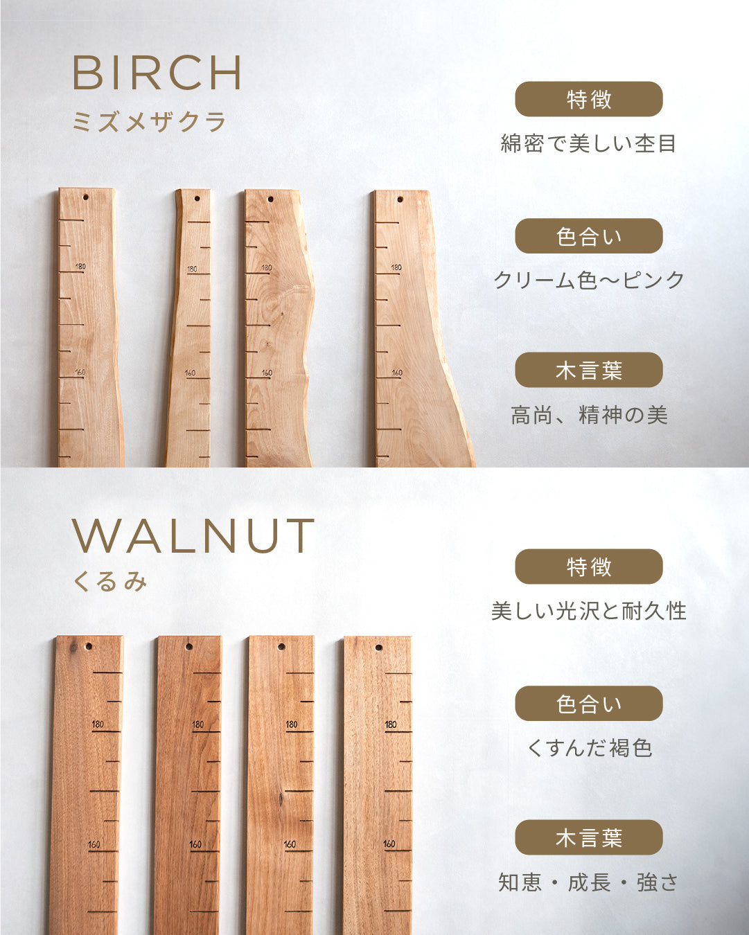 スタッフがセレクト｜ 森の身長計