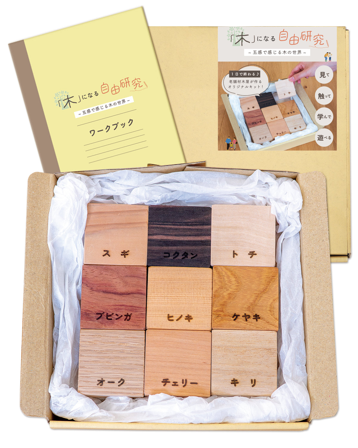 「木」になる自由研究キット