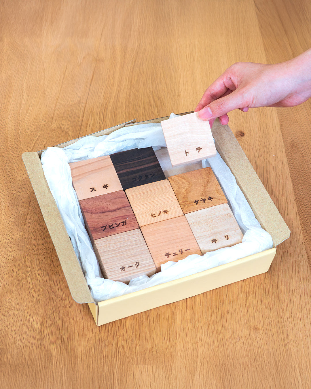 木」になる自由研究キット ｜ 銘木ブロック9種・書込式ワークブック入