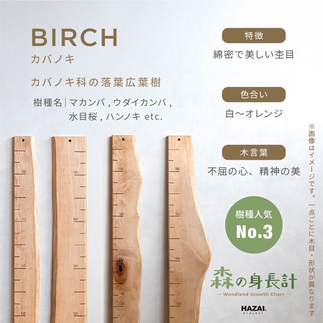 スタッフがセレクト｜ 森の身長計