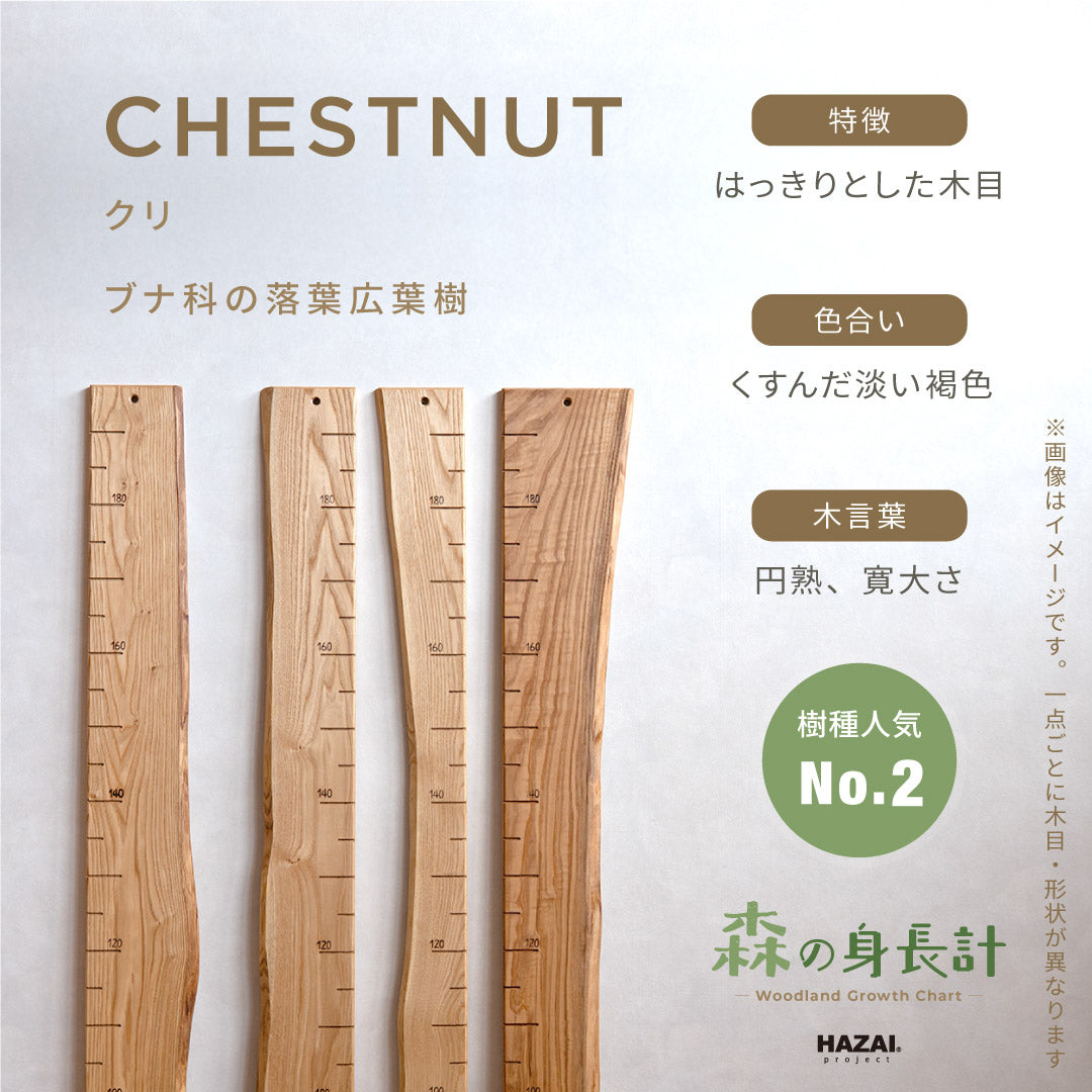 スタッフがセレクト｜ 森の身長計