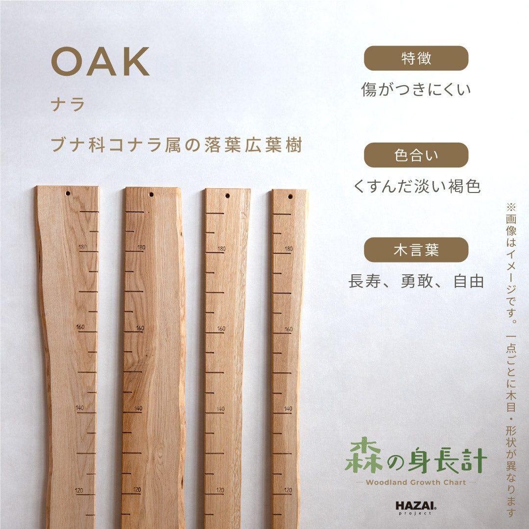 スタッフがセレクト｜ 森の身長計