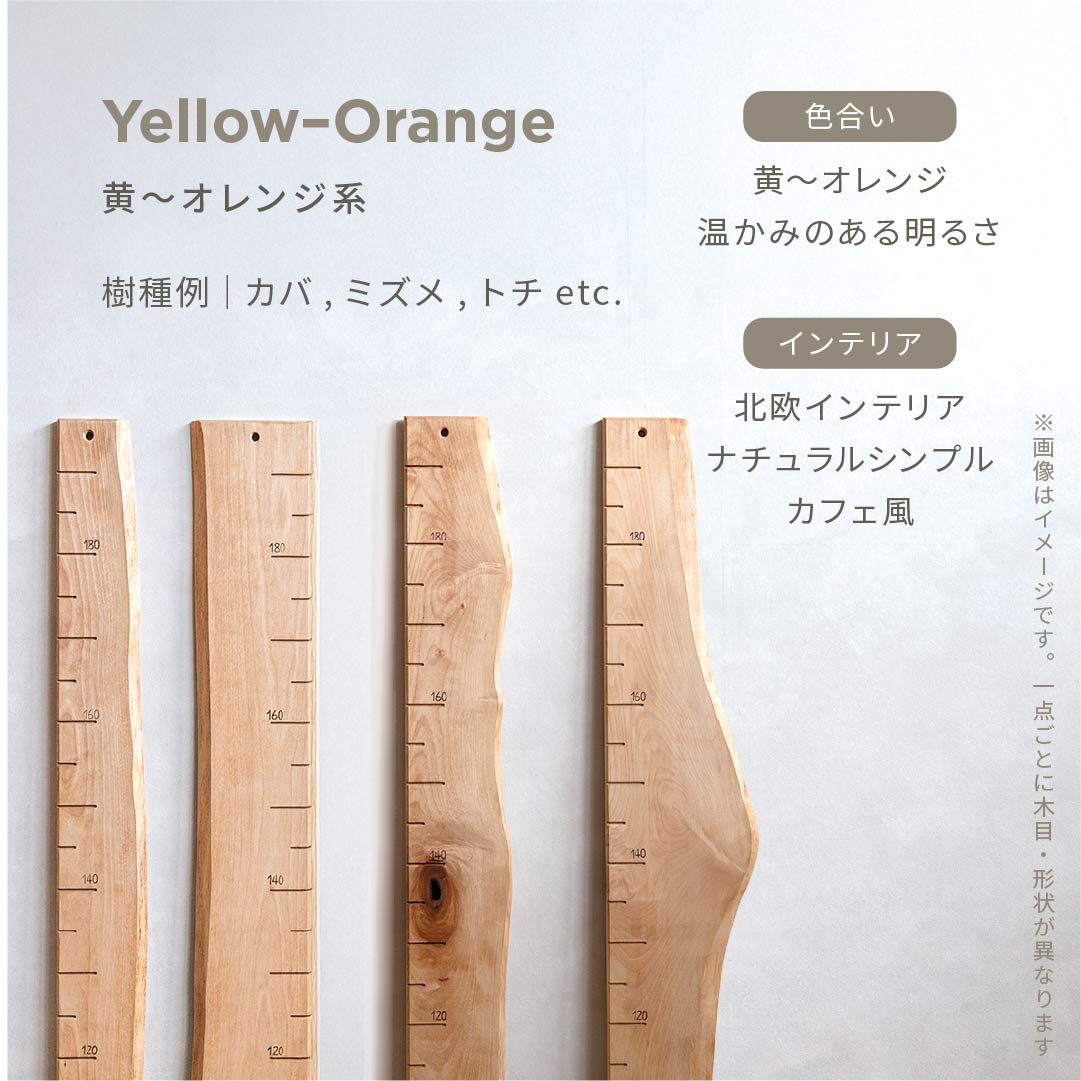 スタッフがセレクト｜ 森の身長計
