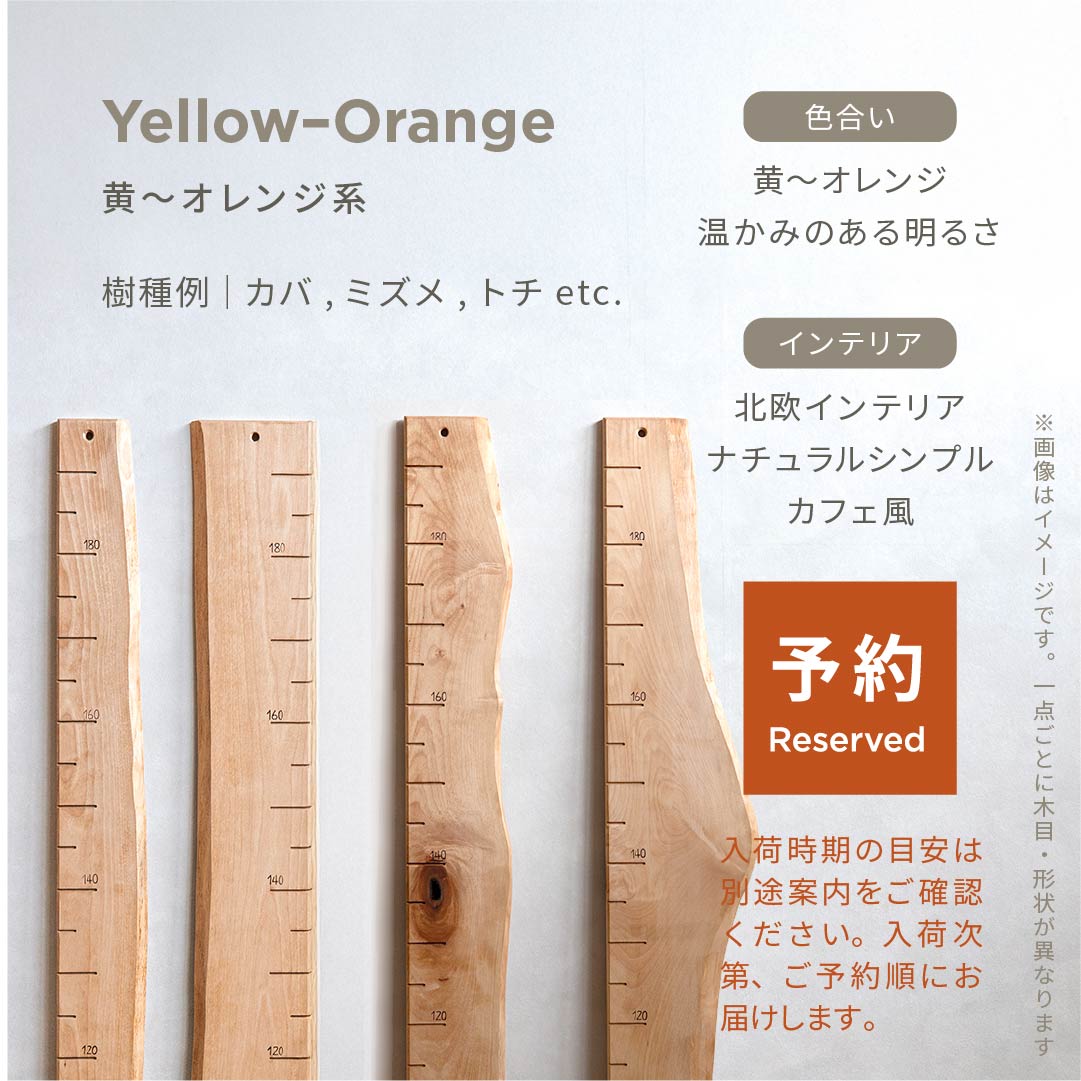スタッフがセレクト｜ 森の身長計