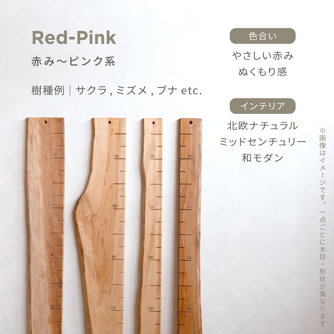 スタッフがセレクト｜ 森の身長計