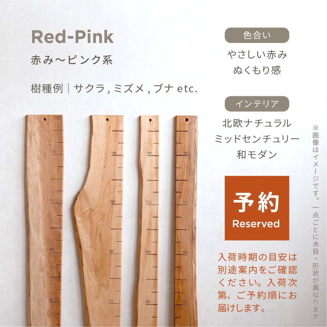 スタッフがセレクト｜ 森の身長計