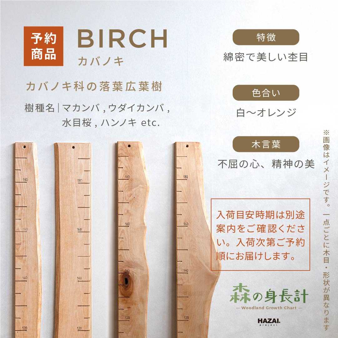 スタッフがセレクト｜ 森の身長計